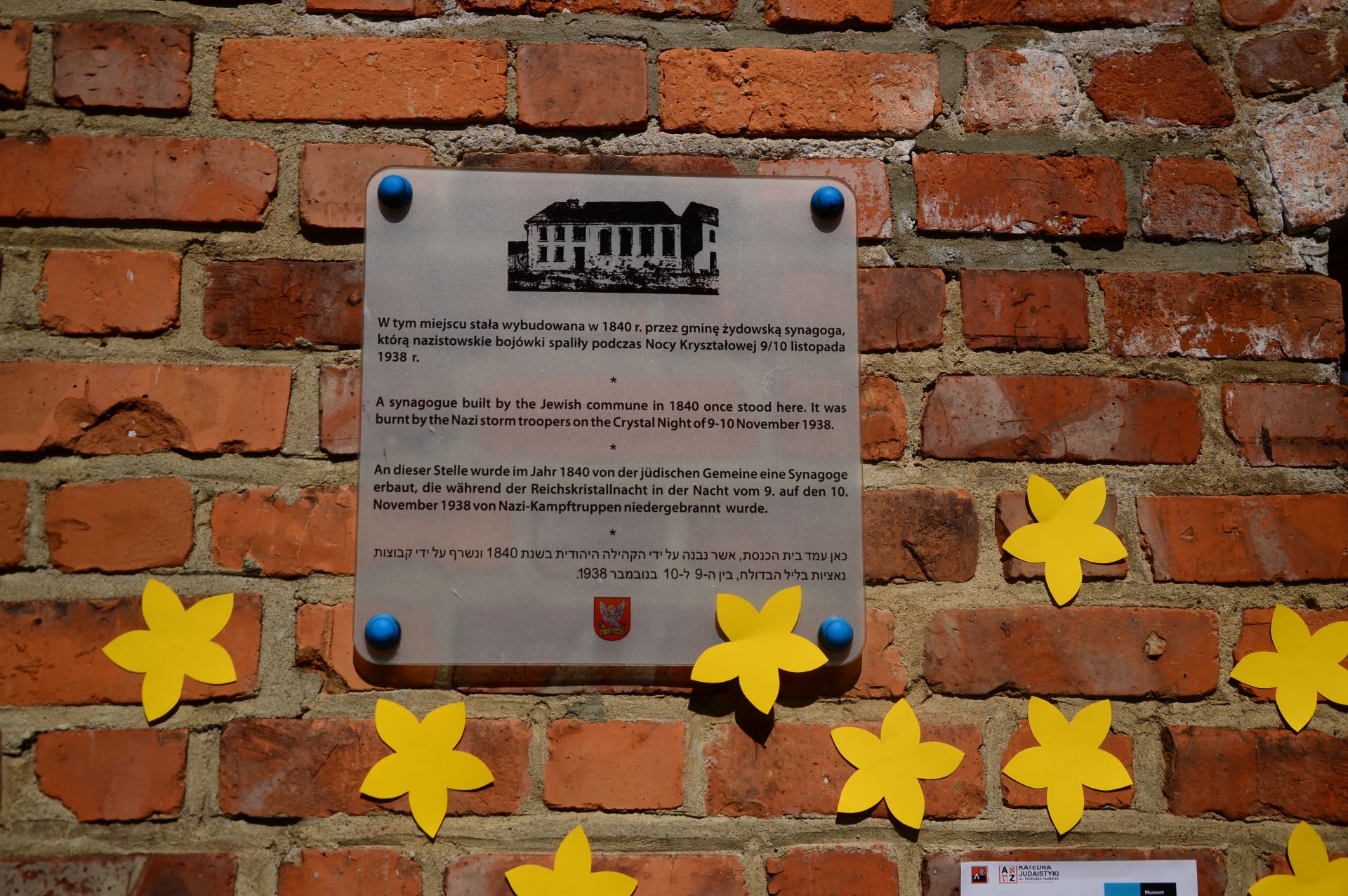 Akcja Żonkile - tablica upamiętniająca synagogę w Oleśnicy