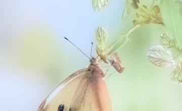  Wystawa plenerowa fotografii Damiana Stopczyńskiego "Wokół miasta"