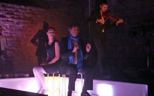 Teatr Sztuk w Oleśnicy (5)