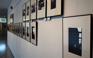 Wystawa Zdzisława Beksińskiego (9)