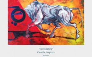 Wystawa plenerowa "Sztuka Kobiet MINERVA" (5)