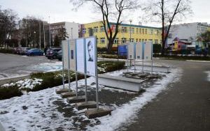 Wystawa plenerowa "Krzysztof Kamil Baczyński" (3)
