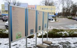 Wystawa plenerowa "Krzysztof Kamil Baczyński" (7)
