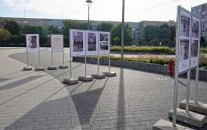 Wystawa plenerowa fotografii Bogdana Kuczmańskiego  ,,Smaki dzieciństwa” - ,,Mleko” i ,,Wrotkarze". (5)