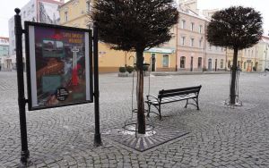 Wystawa plenerowa „Stan wojenny 1981-1983” (7)