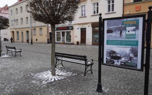 Wystawa plenerowa „Stan wojenny 1981-1983” (7)