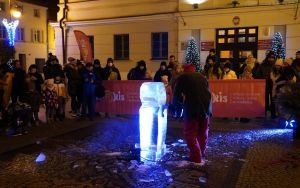 Pokaz rzeźbienia w lodzie i karuzela (1)