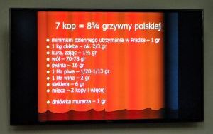 Odsłonięto skarb oleśnicki! (11)
