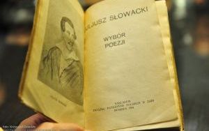 Spotkanie kolekcjonerów - czerwiec 2017 (7)