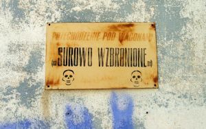 Warsztaty „Odkrywki - Animacja Kulturalna Wokół Dawnych Zakładów Pracy” (5)