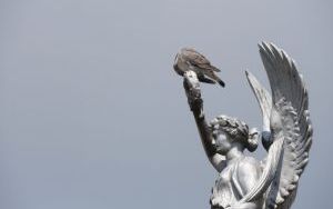 Dobre warsztaty (7)