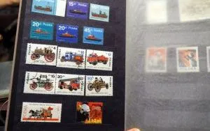 Spotkanie kolekcjoner&oacute;w - sierpień 2019 (13)