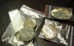 Spotkanie kolekcjoner&oacute;w - sierpień 2019 (12)