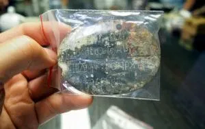 Spotkanie kolekcjoner&oacute;w - sierpień 2019 (13)