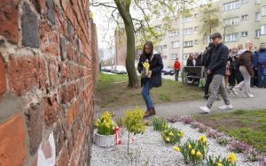 Akcja społeczno-edukacyjna ŻONKILE w Oleśnicy (8)