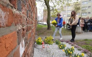 Akcja społeczno-edukacyjna ŻONKILE w Oleśnicy (9)