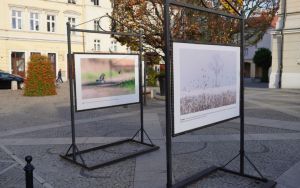 fotografii Damiana Stopczyńskiego "Wokół miasta" (2)
