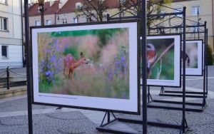 fotografii Damiana Stopczyńskiego "Wokół miasta" (3)