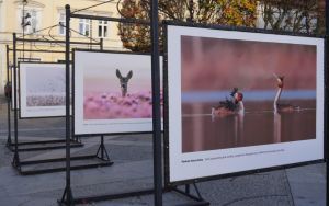 fotografii Damiana Stopczyńskiego "Wokół miasta" (5)