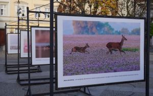 fotografii Damiana Stopczyńskiego "Wokół miasta" (6)