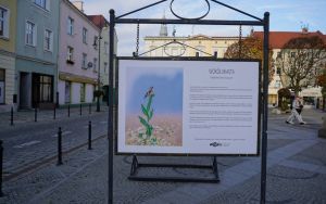 fotografii Damiana Stopczyńskiego "Wokół miasta" (7)