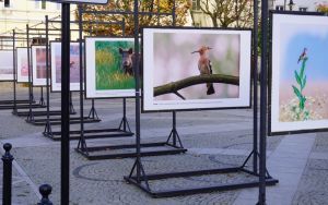 fotografii Damiana Stopczyńskiego "Wokół miasta" (8)