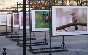 fotografii Damiana Stopczyńskiego "Wokół miasta" (1)