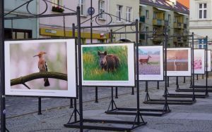 fotografii Damiana Stopczyńskiego "Wokół miasta" (2)