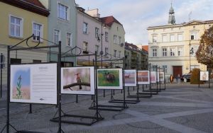 fotografii Damiana Stopczyńskiego "Wokół miasta" (4)