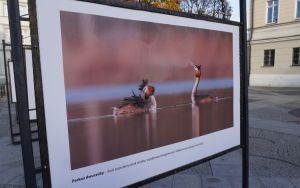 fotografii Damiana Stopczyńskiego "Wokół miasta" (7)