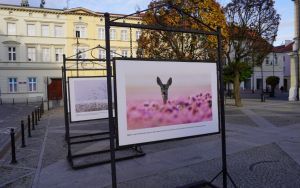 fotografii Damiana Stopczyńskiego "Wokół miasta" (1)