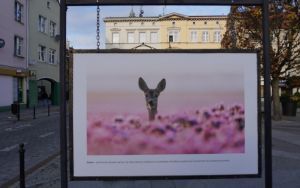 fotografii Damiana Stopczyńskiego "Wokół miasta" (3)