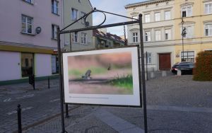 fotografii Damiana Stopczyńskiego "Wokół miasta" (6)