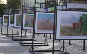 fotografii Damiana Stopczyńskiego "Wokół miasta" (1)
