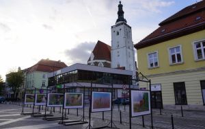 fotografii Damiana Stopczyńskiego "Wokół miasta" (2)