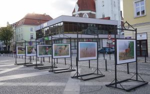 fotografii Damiana Stopczyńskiego "Wokół miasta" (3)