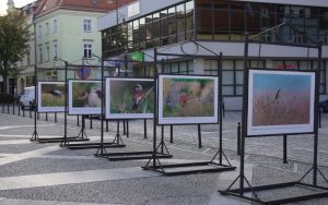fotografii Damiana Stopczyńskiego "Wokół miasta" (4)