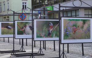 fotografii Damiana Stopczyńskiego "Wokół miasta" (5)