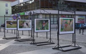 fotografii Damiana Stopczyńskiego "Wokół miasta" (7)