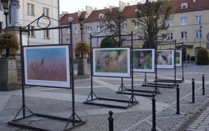 fotografii Damiana Stopczyńskiego "Wokół miasta" (8)