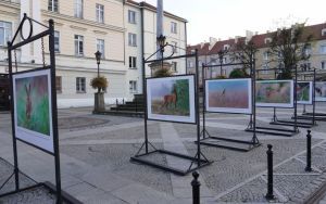 fotografii Damiana Stopczyńskiego "Wokół miasta" (1)