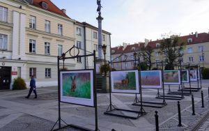 fotografii Damiana Stopczyńskiego "Wokół miasta" (3)