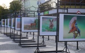 fotografii Damiana Stopczyńskiego "Wokół miasta" (4)