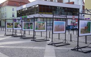 fotografii Damiana Stopczyńskiego "Wokół miasta" (6)