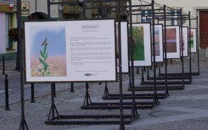 Wystawa plenerowa fotografii Damiana Stopczyńskiego "Wokół miasta" (2)