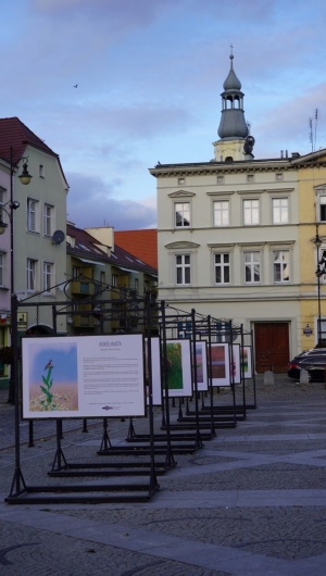 Wystawa plenerowa fotografii Damiana Stopczyńskiego "Wokół miasta" (3)