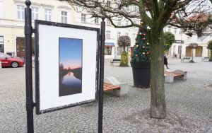 Wystawa plenerowa fotografii Renaty i Pawła Ołowni z cyklu "Oblicza Miasta" (4)