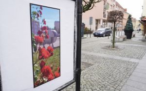 Wystawa plenerowa fotografii Renaty i Pawła Ołowni z cyklu "Oblicza Miasta" (8)