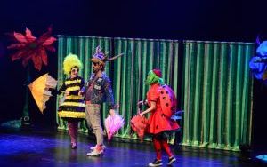 Spektakl "Bajeczna fiesta"  (3)