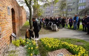 Akcja społeczno-edukacyjna ŻONKILE w Oleśnicy (5)